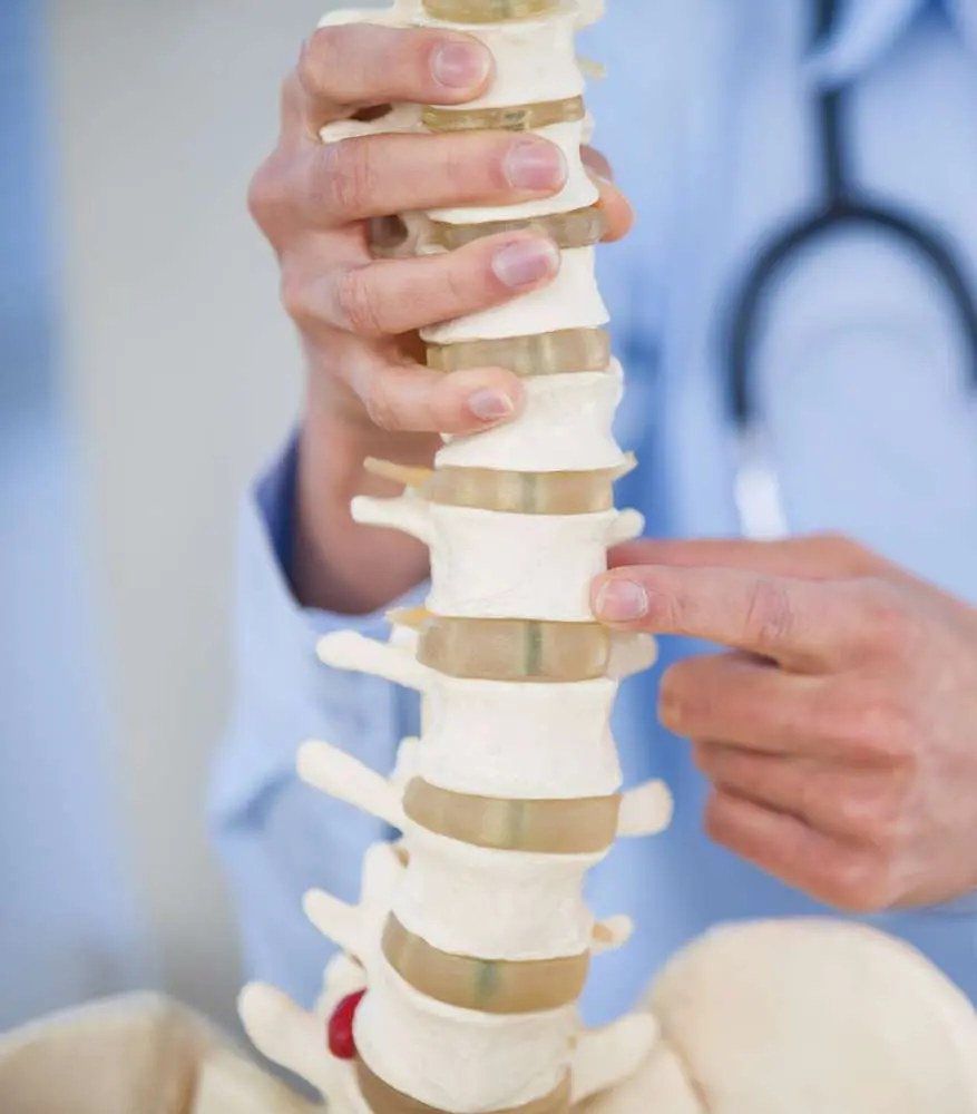 A Healthcare Provider Explaining Spinal Segments Using A Spine Model